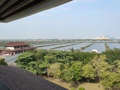 -大湾区中央湿地公园