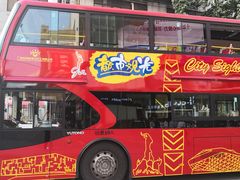 -广州都市观光巴士(粤陶巴)