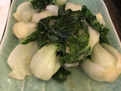 白菜苗-唐茶苑(Soho)
