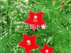 -大兴滨河森林公园