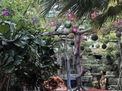 -东方华地城湿地温泉度假区