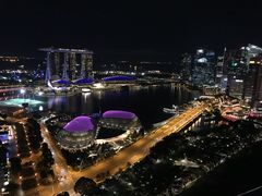 阳台拍的风景-新加坡瑞士史丹福酒店