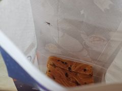 -爸爸糖吐司面包(大连高新锦辉商场店)