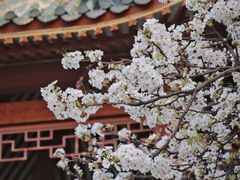 -中山公园