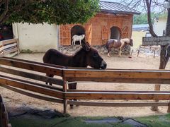 -HERRE·FARM 赫尔露营农场·团建聚会包场