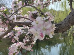 -元大都城垣遗址公园