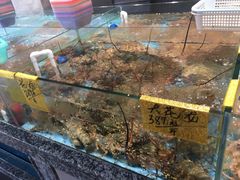 -天然居·漳港海鲜·海景餐厅(南澳总店)
