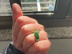 -立标杆麻辣鱼(宝龙广场店)