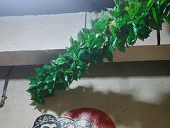 -人民公社铁锅炖·东北菜(卫国道店)