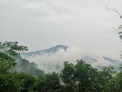 -龙窝子