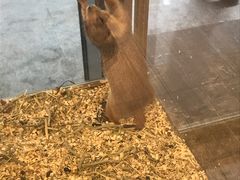 -悠尼宠物·独立低压伊珊娜洗护·美容·寄养(兰谷路店)