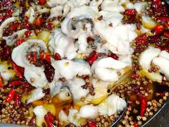 -金三可市井水煮鱼(金碧园店)