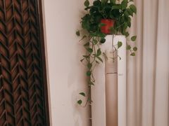 -梅花香里大酒店(郁金香路店)