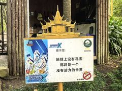 -莫里热带雨林景区