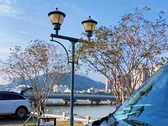-野狸岛