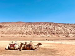 -火焰山景区(火焰山镇)