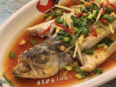 海鲈鱼-潮汕铺老店(甜水井店)