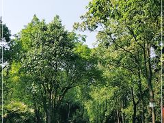 -邓小平故里