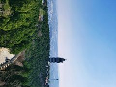 -原山国家森林公园