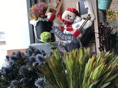 -杭州街角花屋花店(闻堰店)