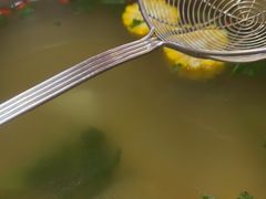 -大四喜·鲜牛肉火锅(洛阳大学城店)