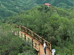-大岭沟猕猴桃谷风景区