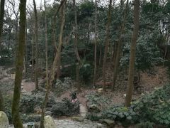 -杭州少年儿童公园