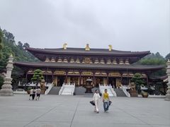-庐山风景名胜区-东林大佛