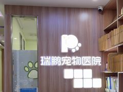-瑞鹏宠物医院·宠保定点·心脏科·内科(御桥分院)