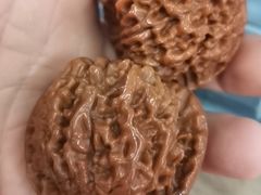 -福禄财东北菜(珠江帝景店)