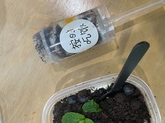 -贝思特·蒙特梭利早教