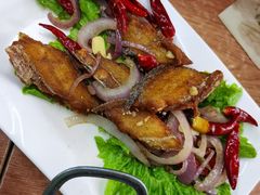 -红帽小馆(向阳路店)