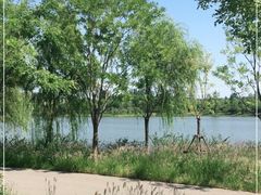 -东郊湿地公园