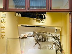 -国家自然博物馆