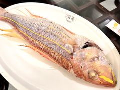 -吴记富苑(朝阳店)