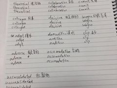 -新航道雅思托福·留学·考研培训(人民广场校区)