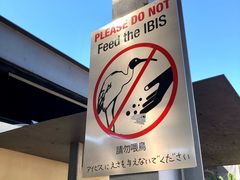 -布里斯班南岸公园
