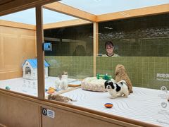 -帕帕拉兹宠物(亚洲旗舰店)