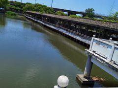 -游龙石文化科普馆