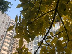 -安惠养车(安定门店)