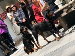 -RAC BAR(安福路店)