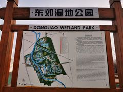 -东郊湿地公园