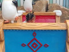 -海合安成都极地海洋公园