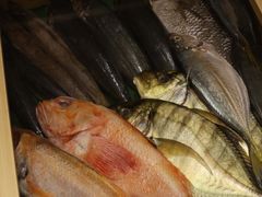 -镹·鱼料理  国产鱼使用店