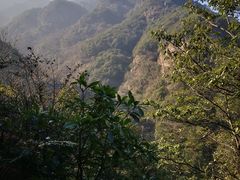 -四明山国家森林公园