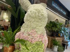 -PlantsEatery·植物食堂(REX春熙店)