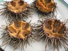 -海胆小馆(东北水饺·春柳店)