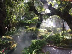 -Chom Cafe and Restaurant