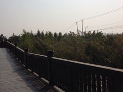 iphone_upload_pic-苏州太湖国家湿地公园
