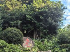 -乌山风景区